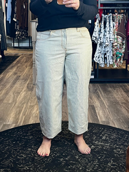 Democracy Savannah Stripe Denim