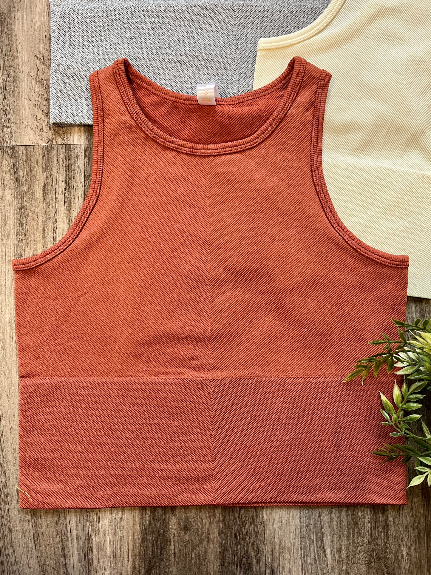 Lazy Days Cropped Tank