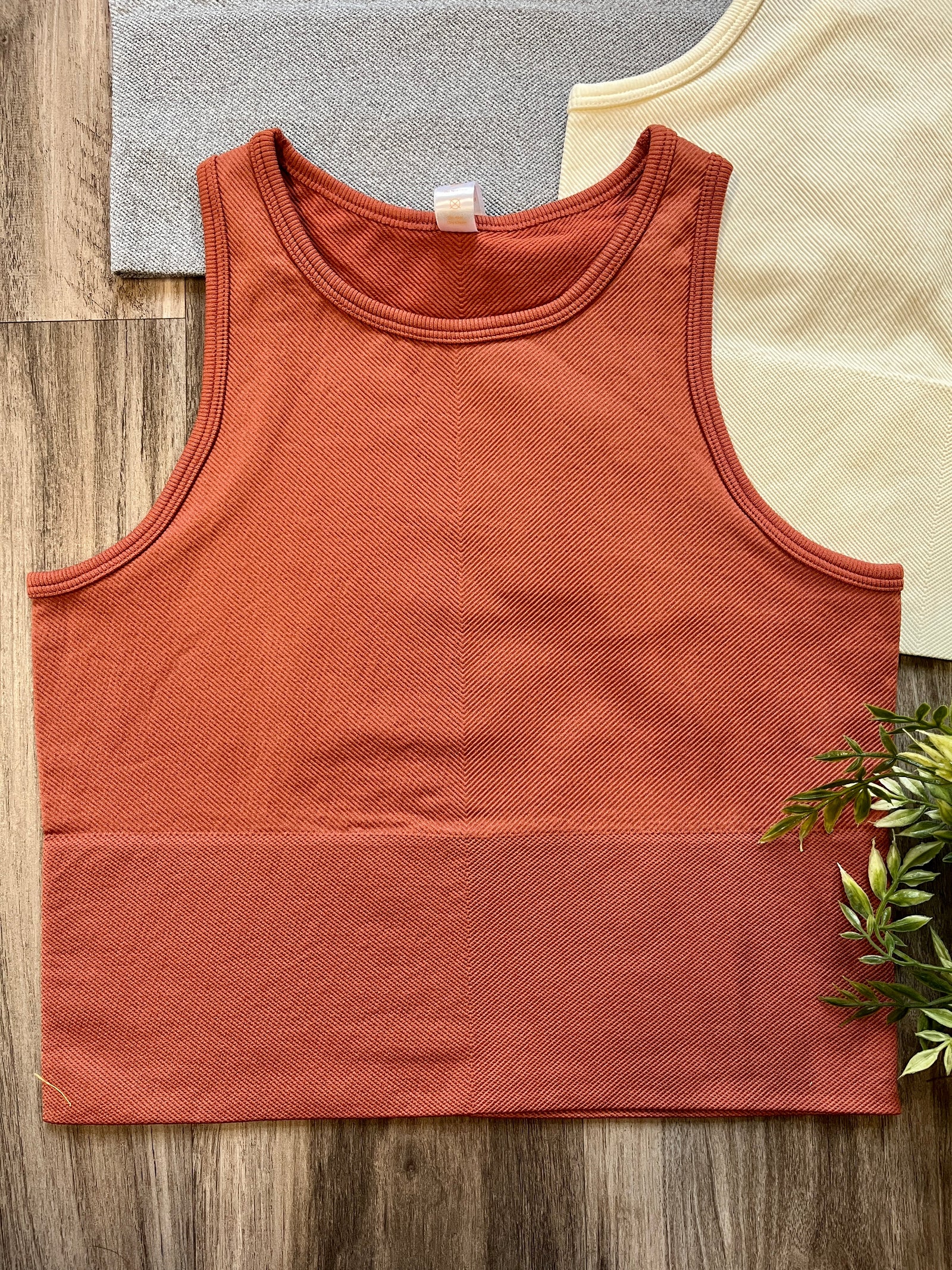 Lazy Days Cropped Tank