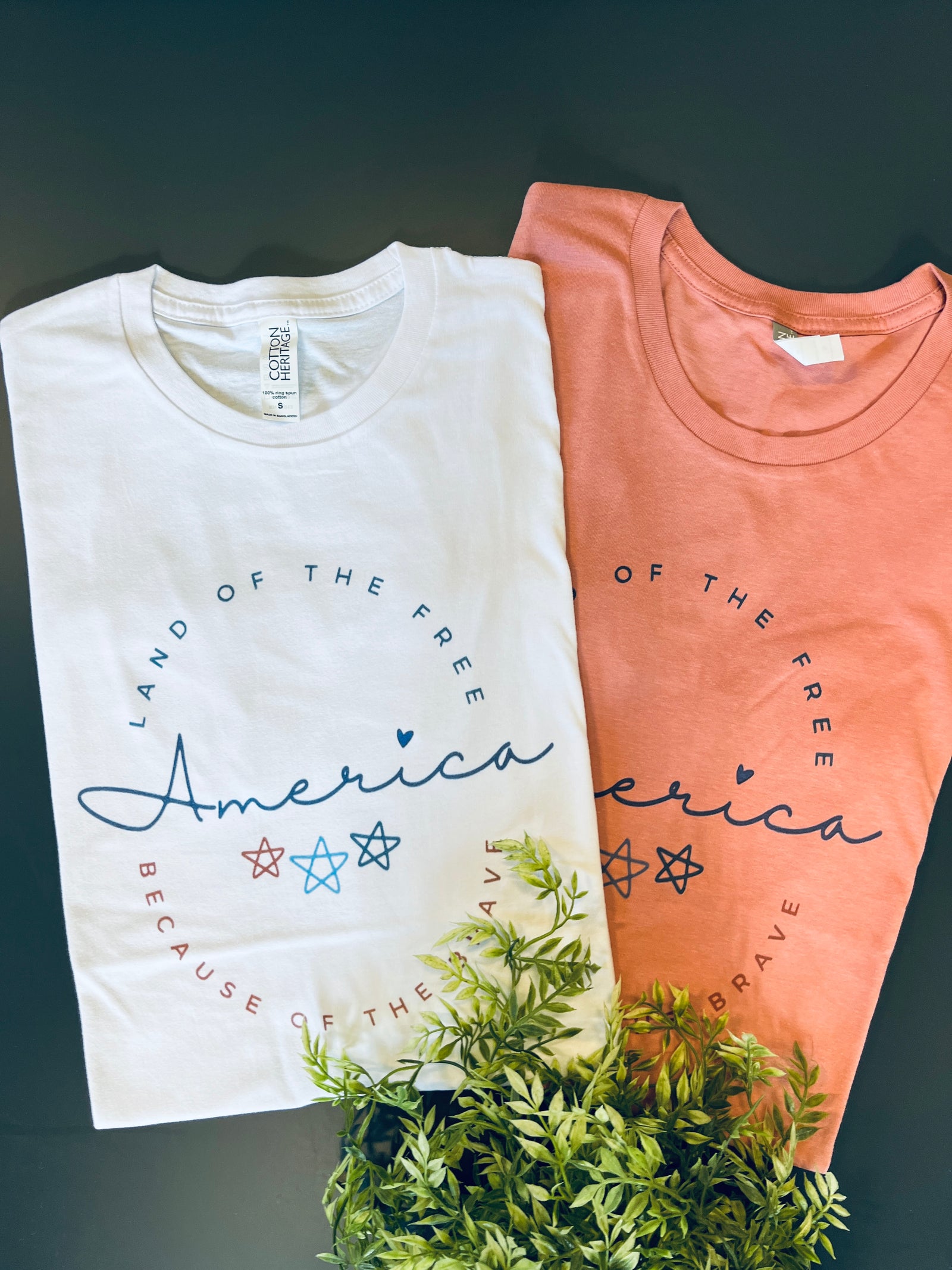 Land Of The Free Graphic Tee